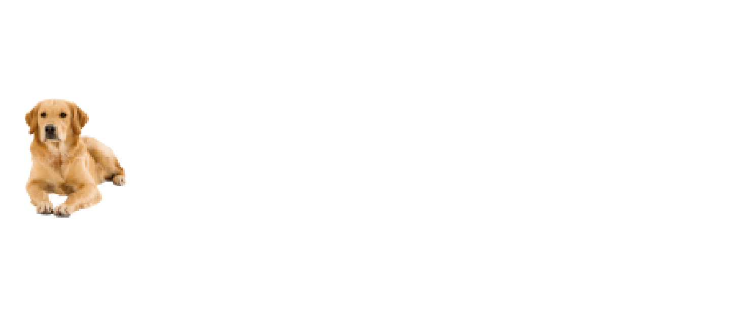 dwh